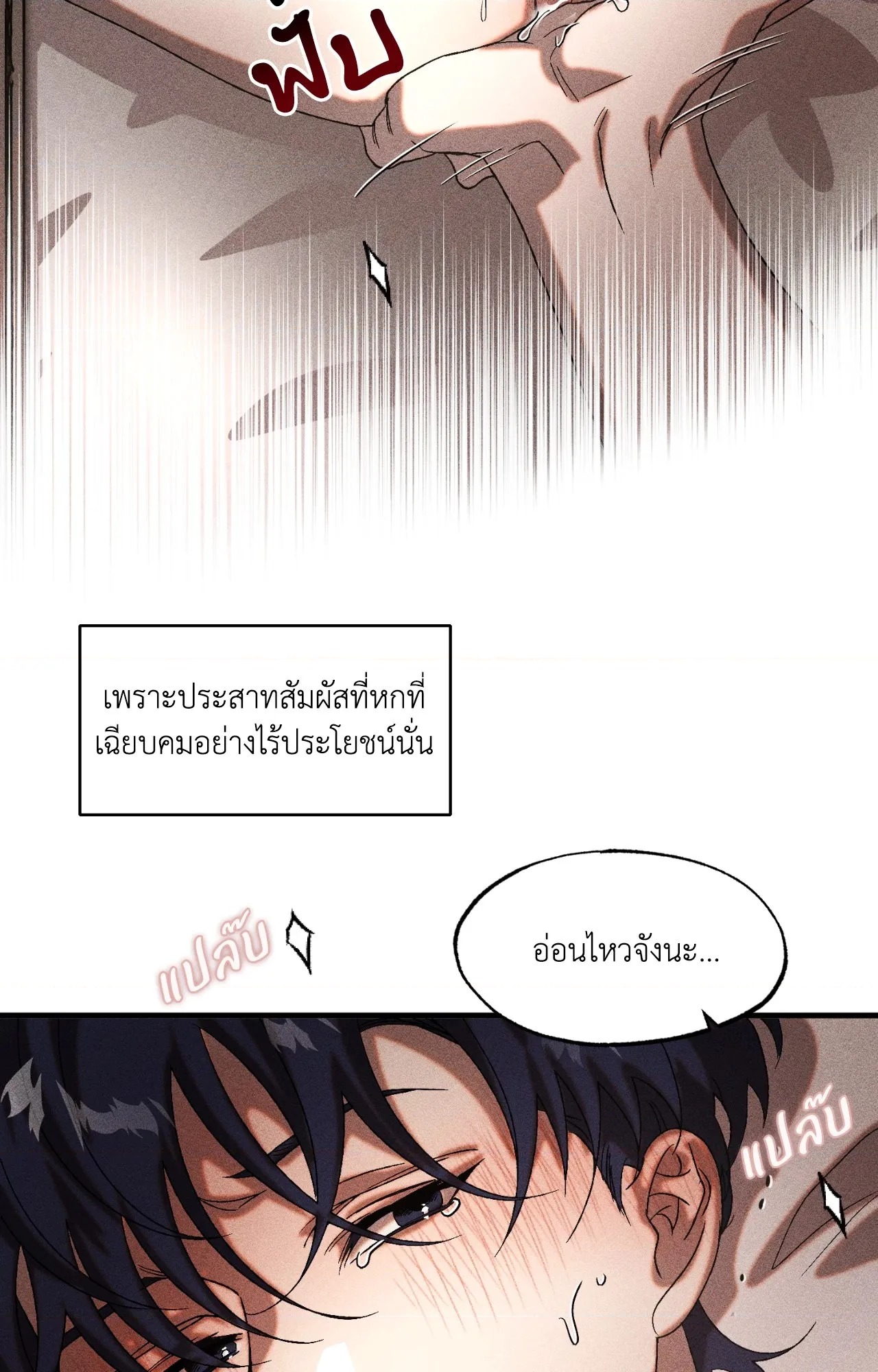 หน้า 31
